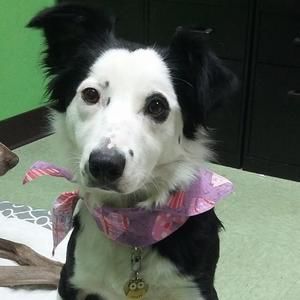 Meet your Posher, Deanna